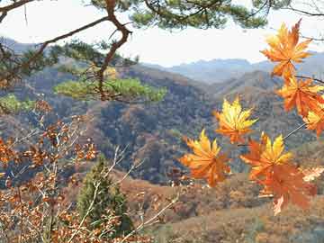 军队院校改革聚焦师改旅最新动态（XXXX年）